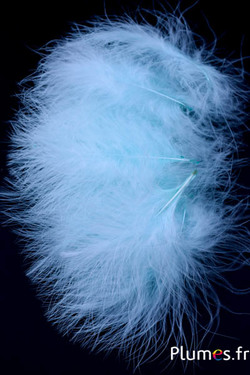 Maraboet kalkoen – 8-12 cm – hemelsblauw  